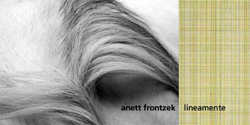 anett frontzek lineamente